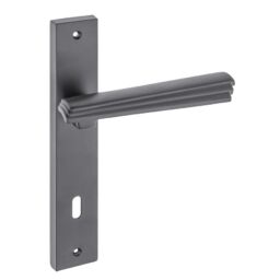 Z2029 Aynalı Kapı Kolu